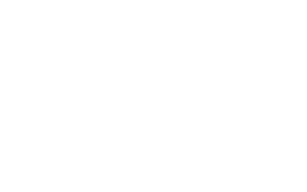 The Alice Saddy Foundation - white logo